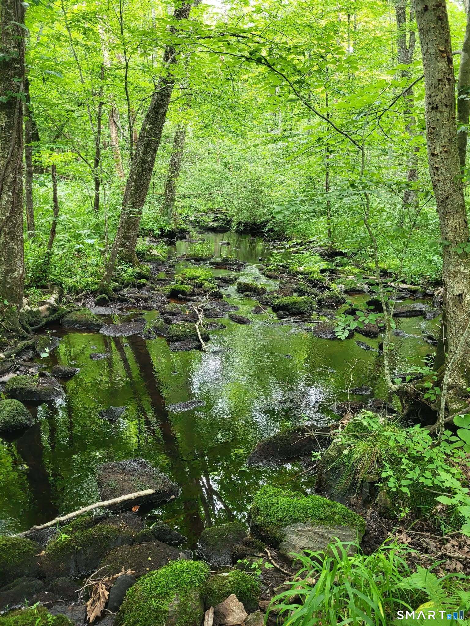 305 Tripp Hollow Road Brooklyn CT 06234