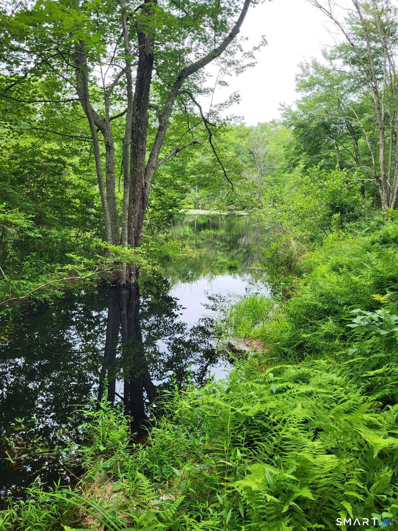 305 Tripp Hollow Road Brooklyn CT 06234