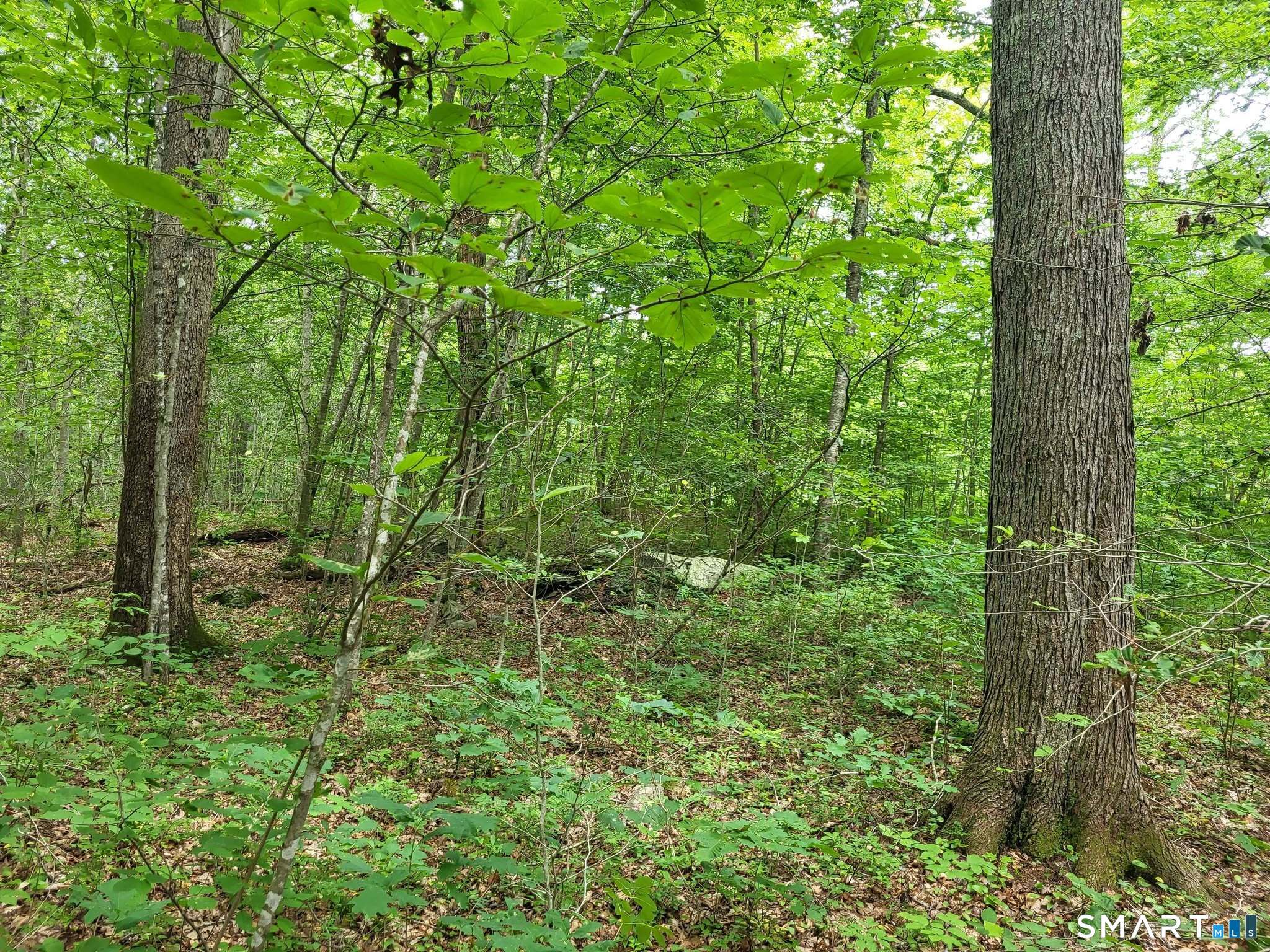 305 Tripp Hollow Road Brooklyn CT 06234
