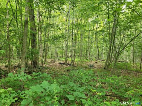305 Tripp Hollow Road Brooklyn CT 06234