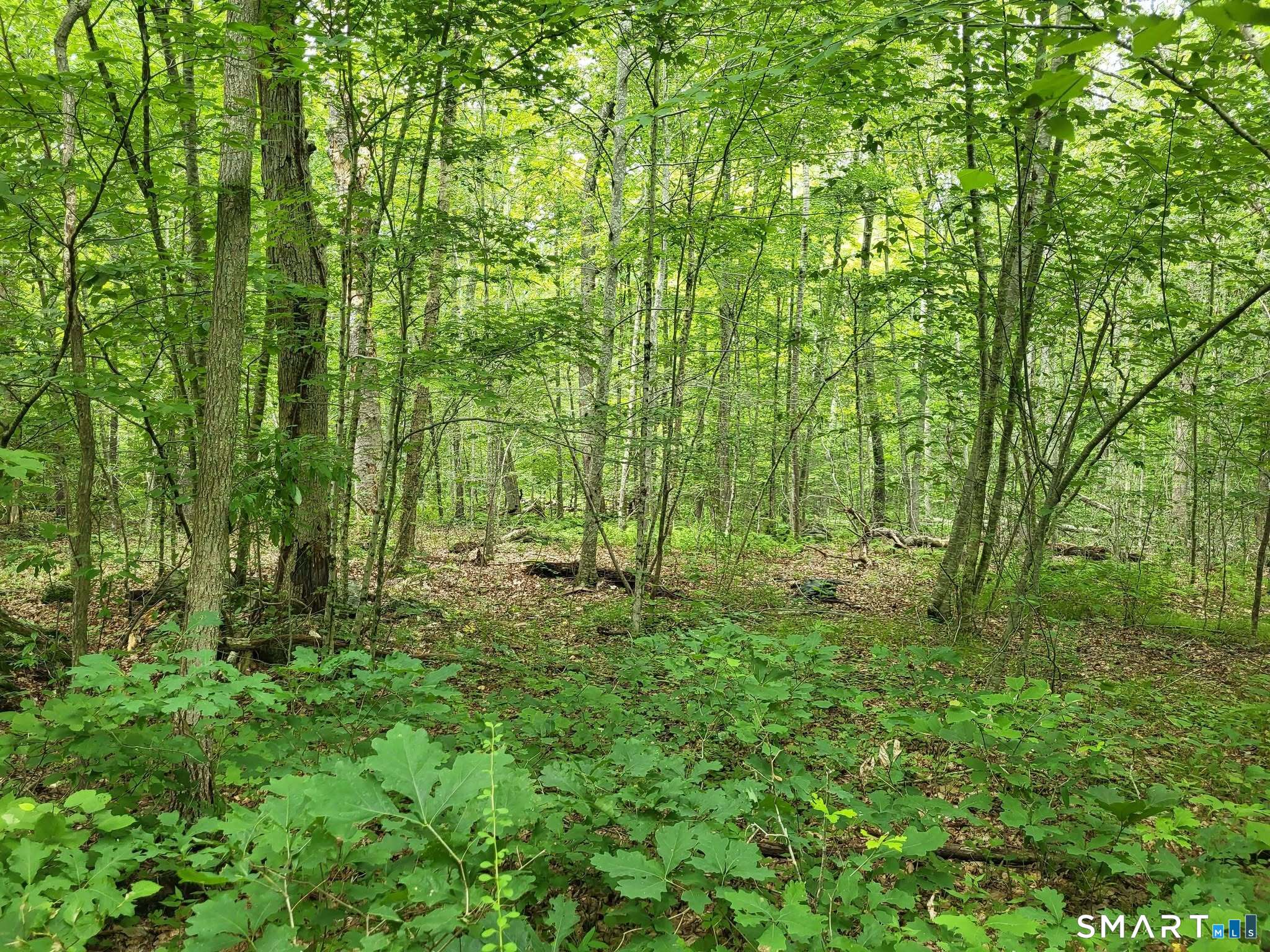 305 Tripp Hollow Road Brooklyn CT 06234