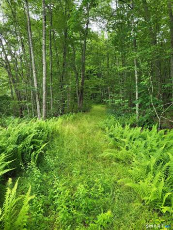 305 Tripp Hollow Road Brooklyn CT 06234