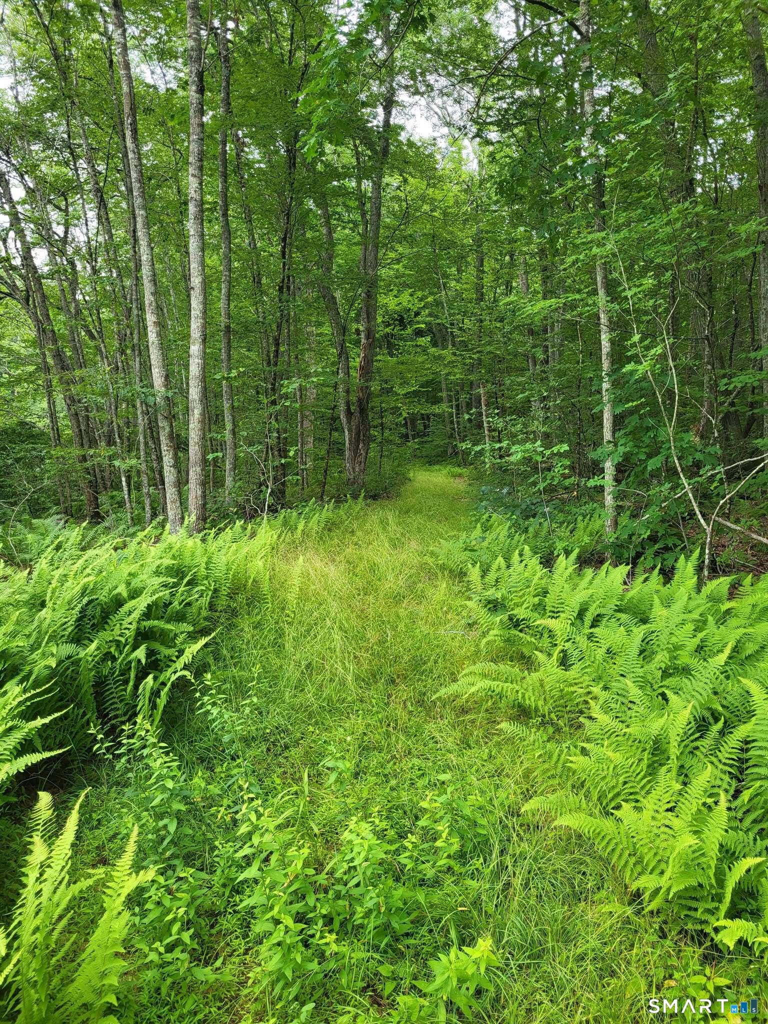 305 Tripp Hollow Road Brooklyn CT 06234