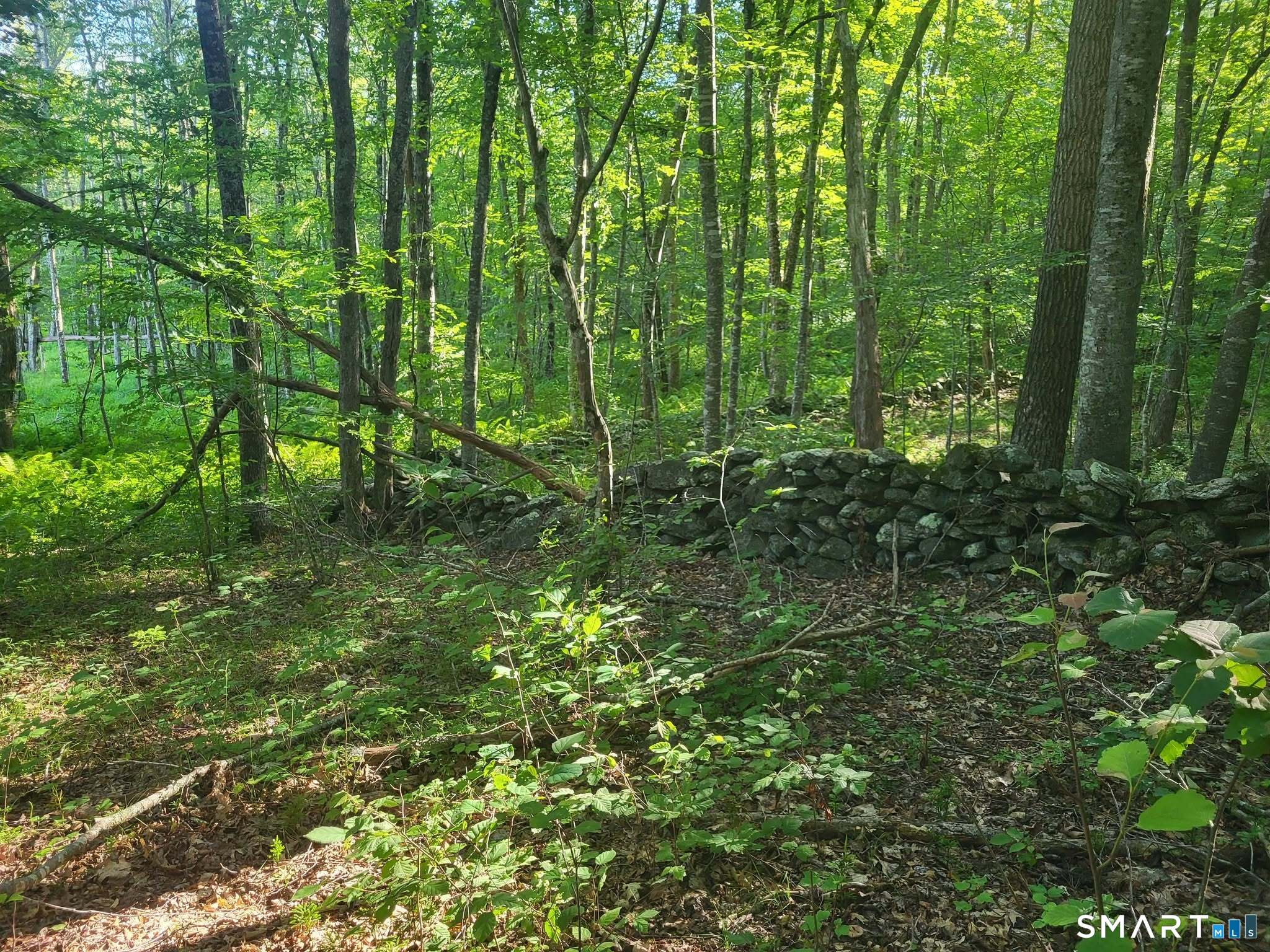 305 Tripp Hollow Road Brooklyn CT 06234