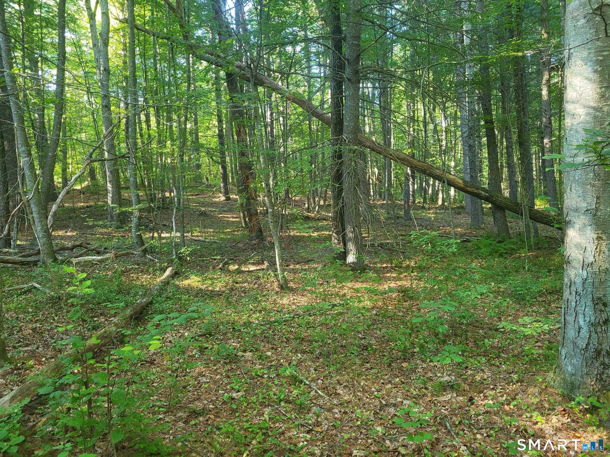 305 Tripp Hollow Road Brooklyn CT 06234