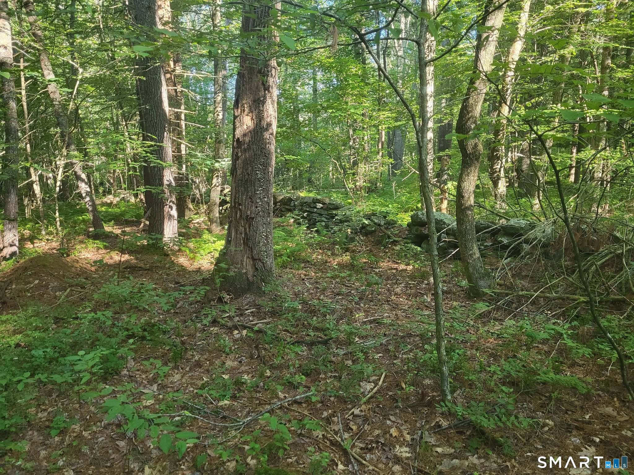 305 Tripp Hollow Road Brooklyn CT 06234