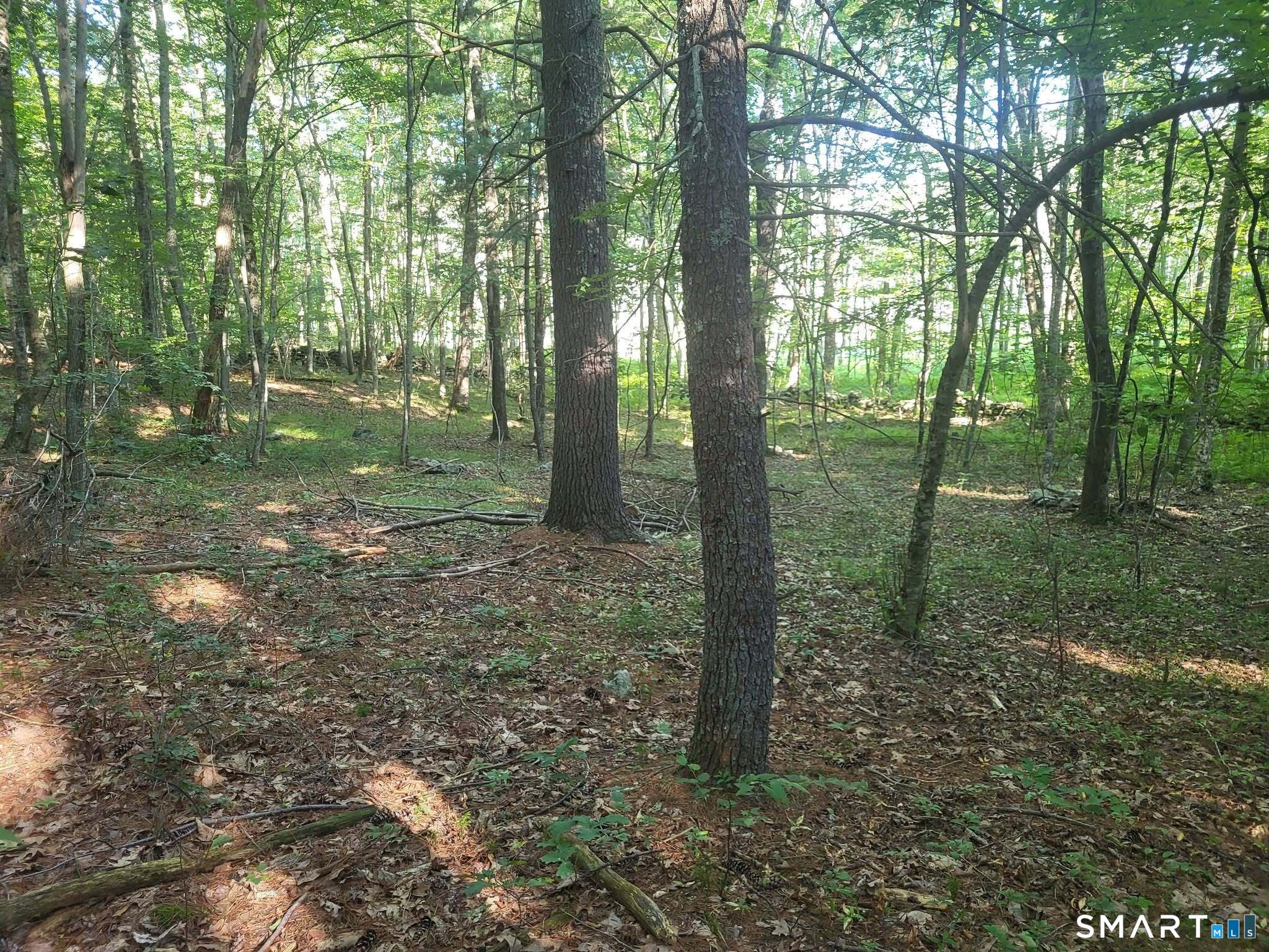 305 Tripp Hollow Road Brooklyn CT 06234