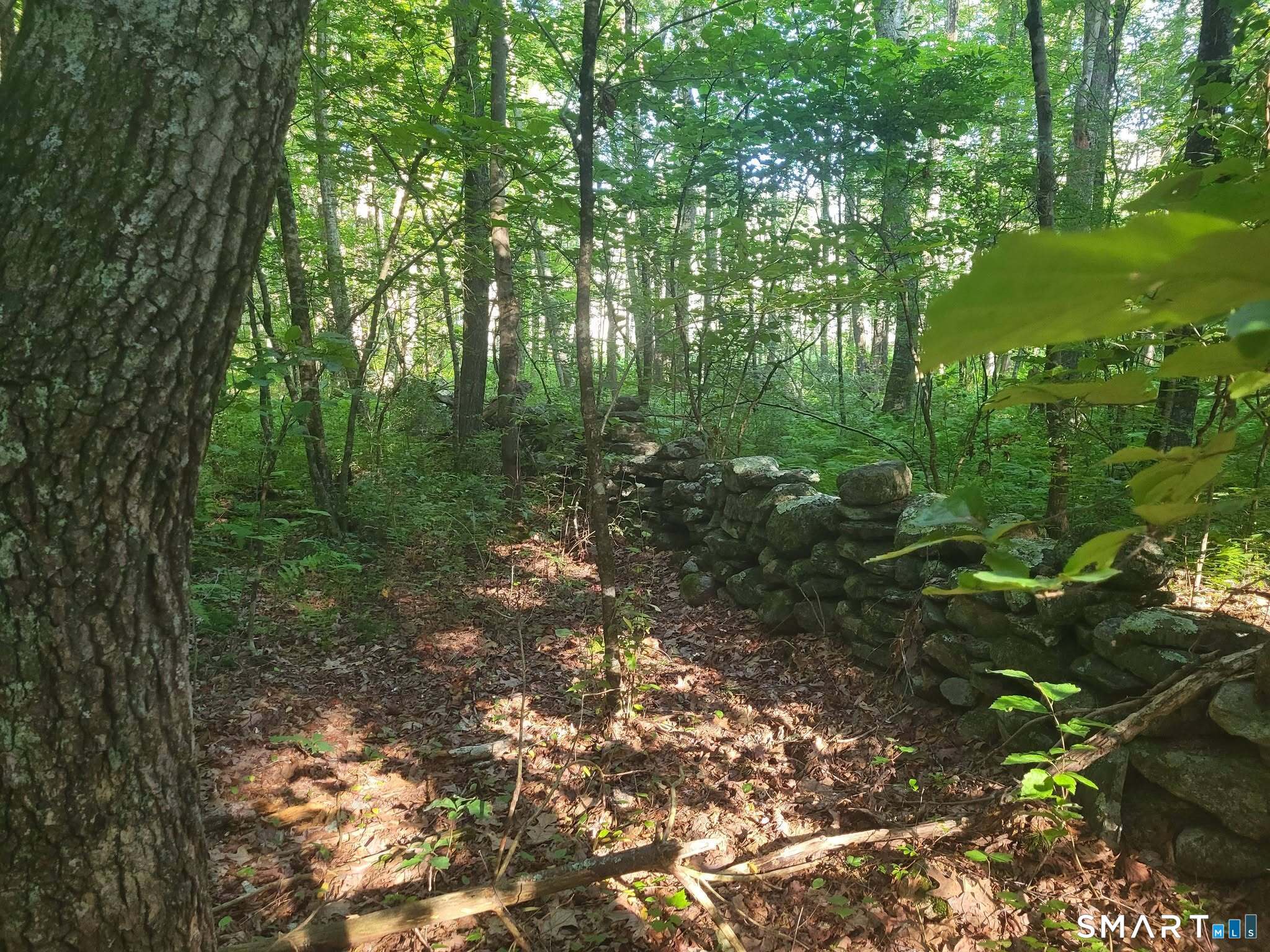 305 Tripp Hollow Road Brooklyn CT 06234
