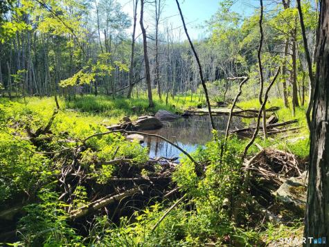 305 Tripp Hollow Road Brooklyn CT 06234