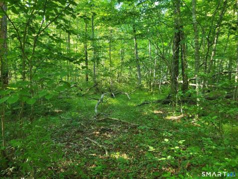 305 Tripp Hollow Road Brooklyn CT 06234