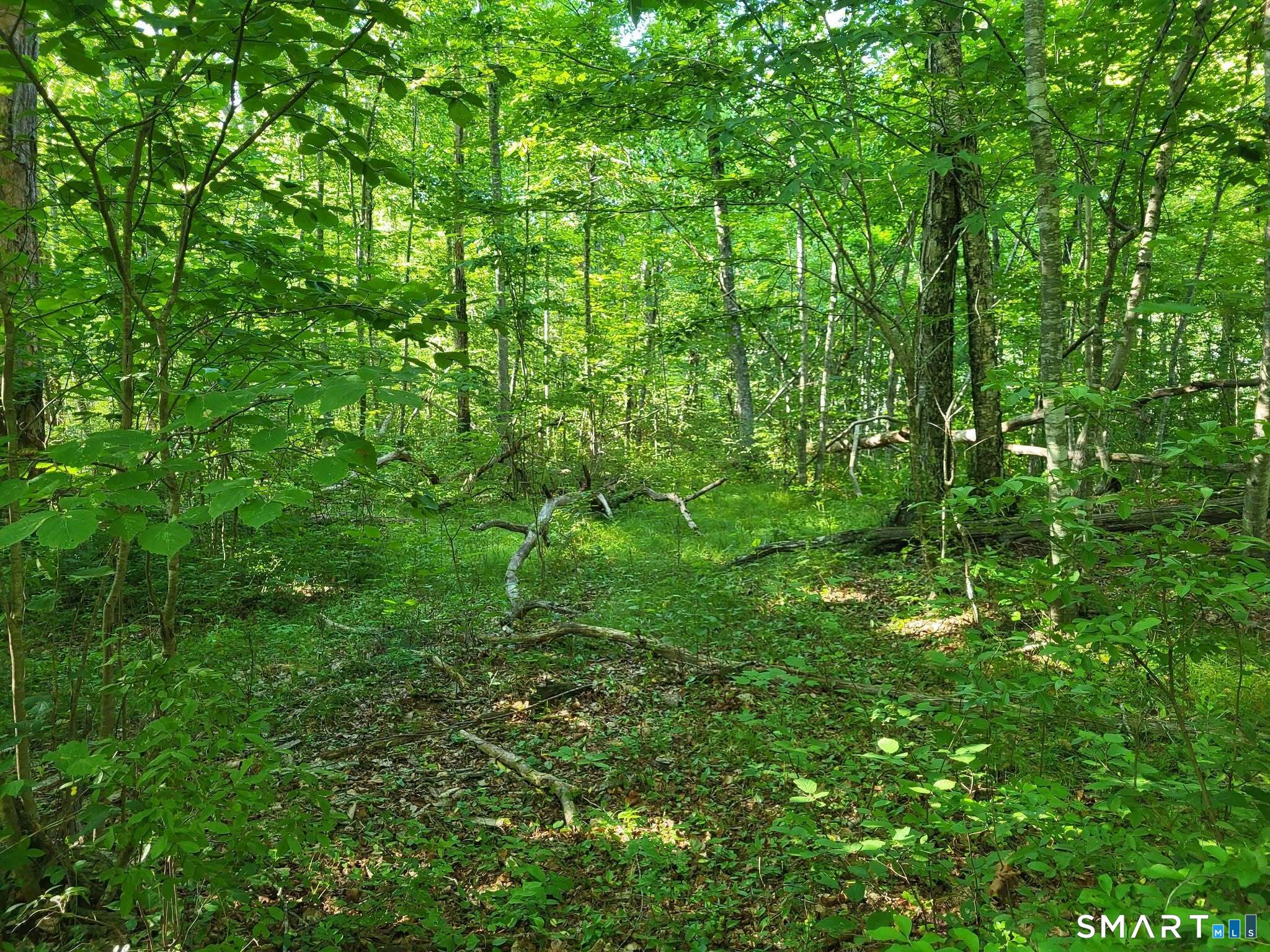 305 Tripp Hollow Road Brooklyn CT 06234