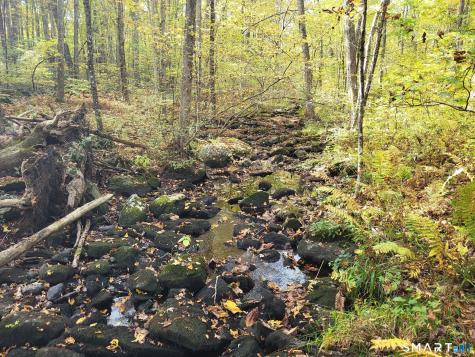 305 Tripp Hollow Road Brooklyn CT 06234