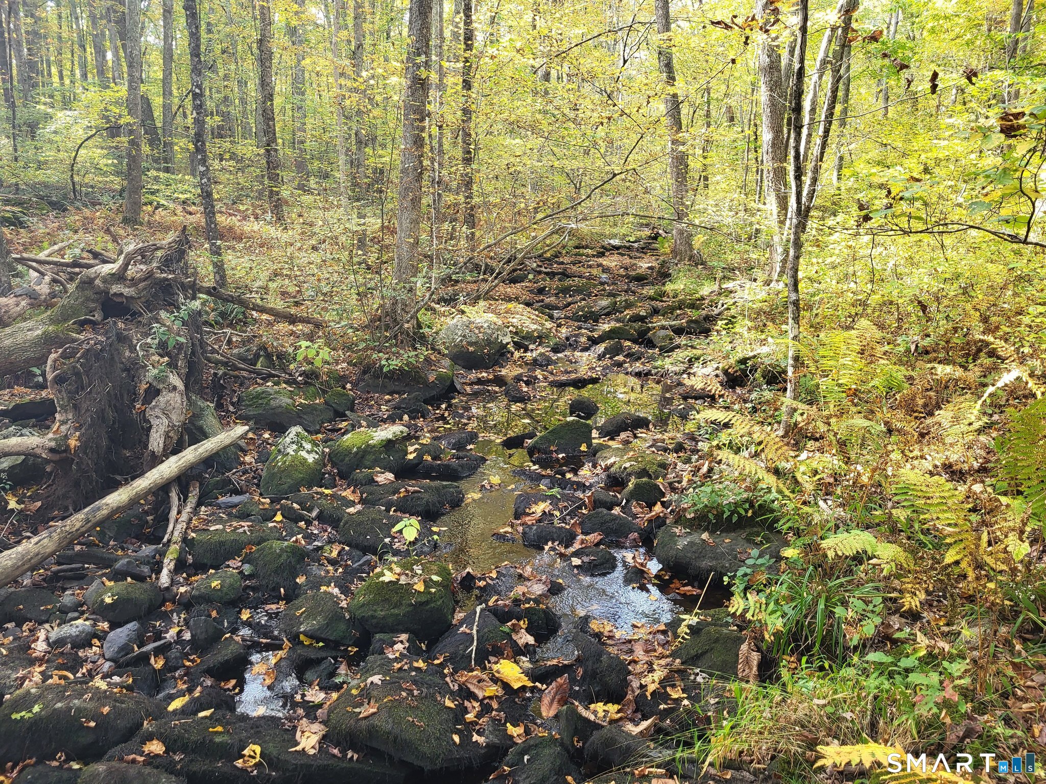 305 Tripp Hollow Road Brooklyn CT 06234