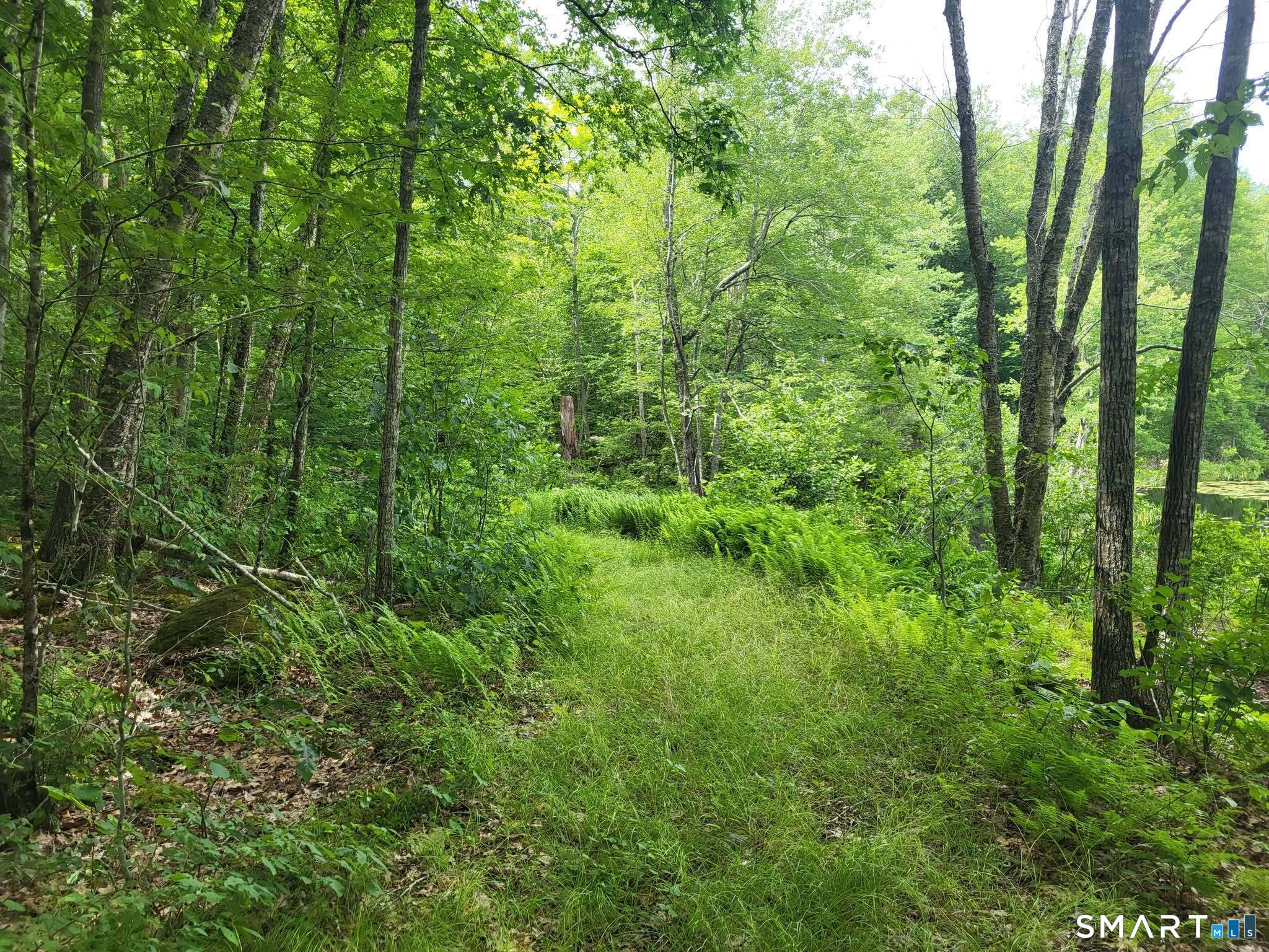 305 Tripp Hollow Road Brooklyn CT 06234
