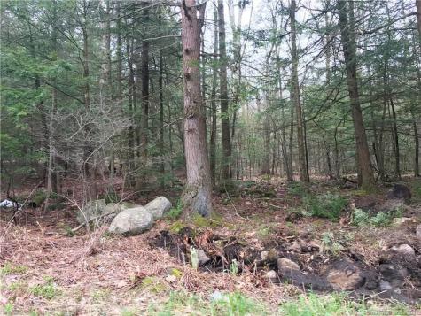 393 Winchester Road Winchester CT 06098