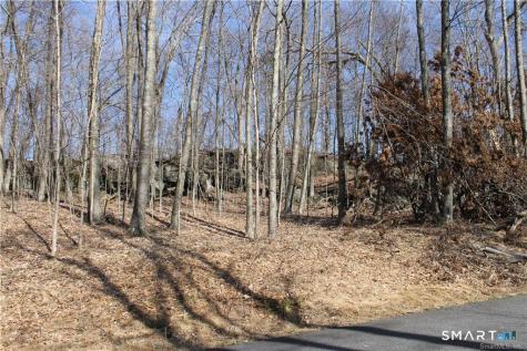 6 Alfredson Lane Sherman CT 06784