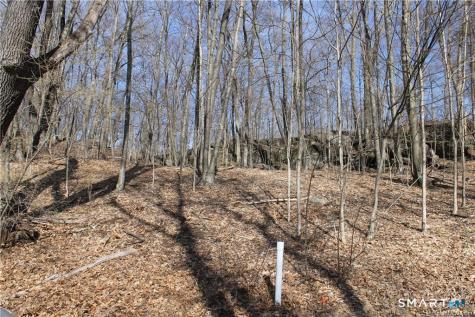 6 Alfredson Lane Sherman CT 06784