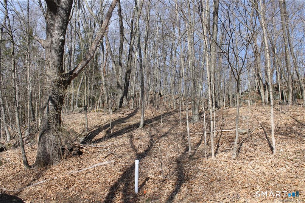 6 Alfredson Lane Sherman CT 06784