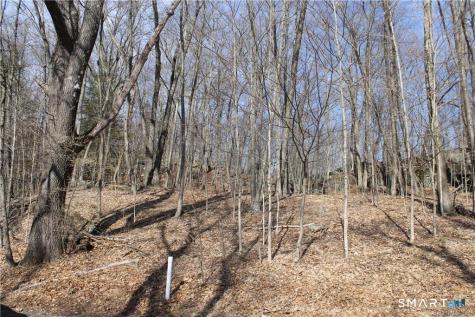 6 Alfredson Lane Sherman CT 06784