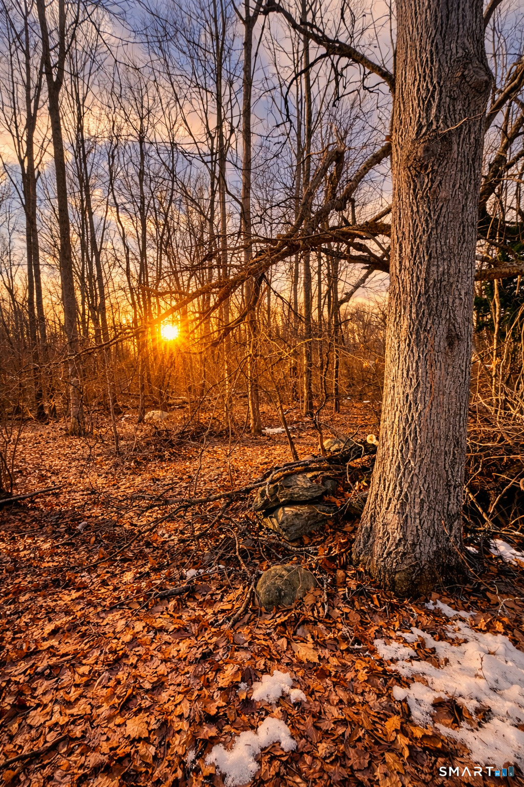 230 Vergason Avenue Norwich CT 06360