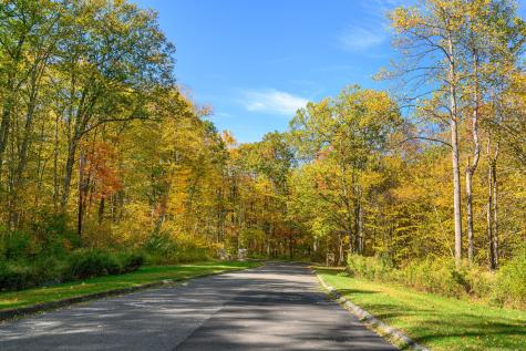 Ives Court Ridgefield CT 06877