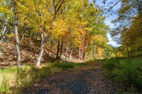 Ives Court Ridgefield CT 06877