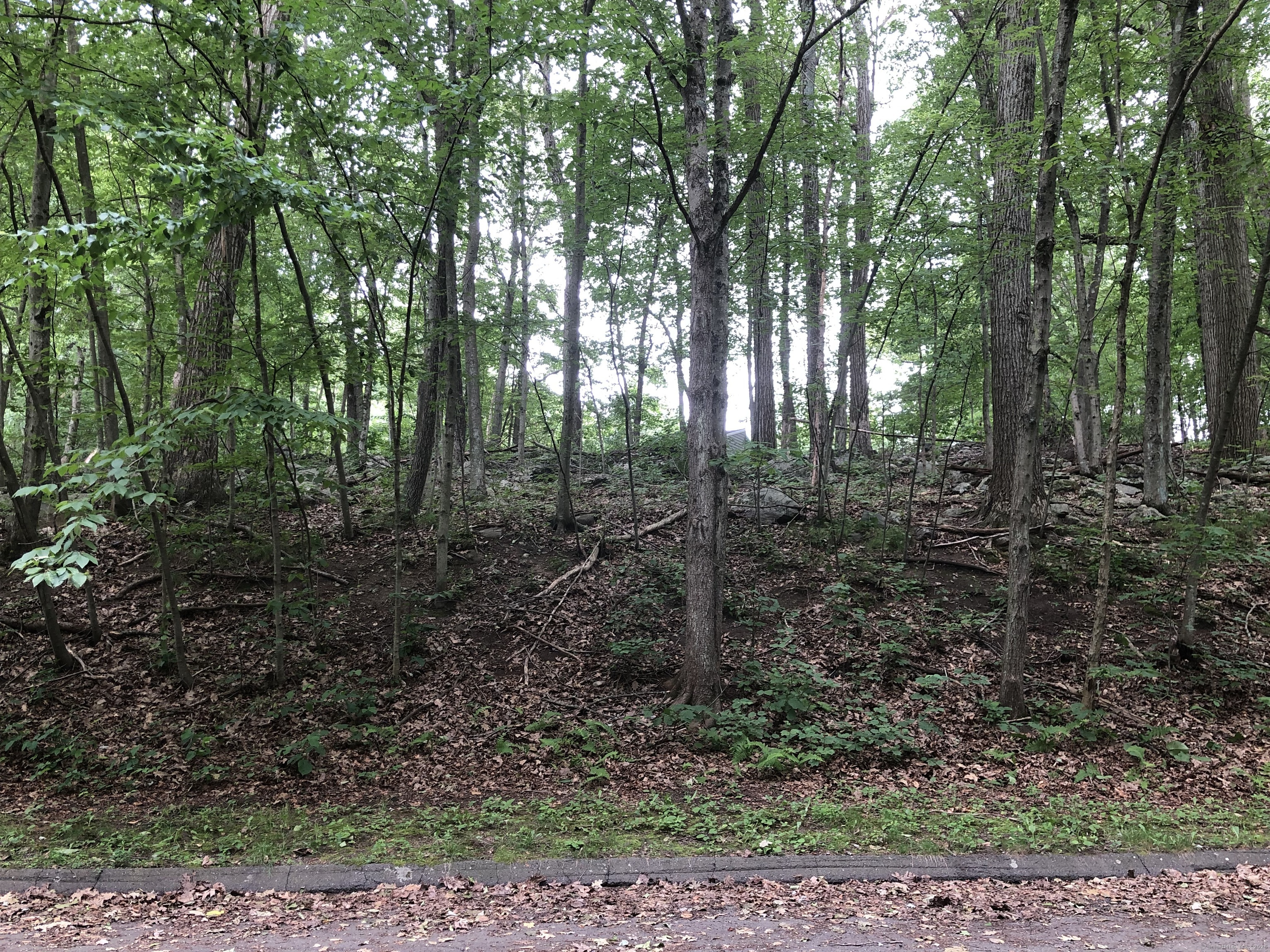 21 Coral Drive Plymouth CT 06786