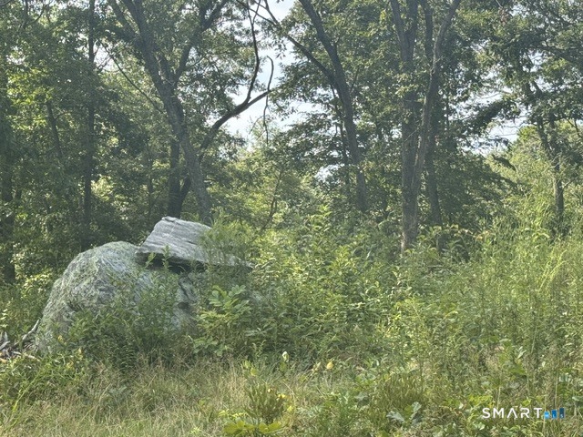 14 Barnes Road Stonington CT 06378