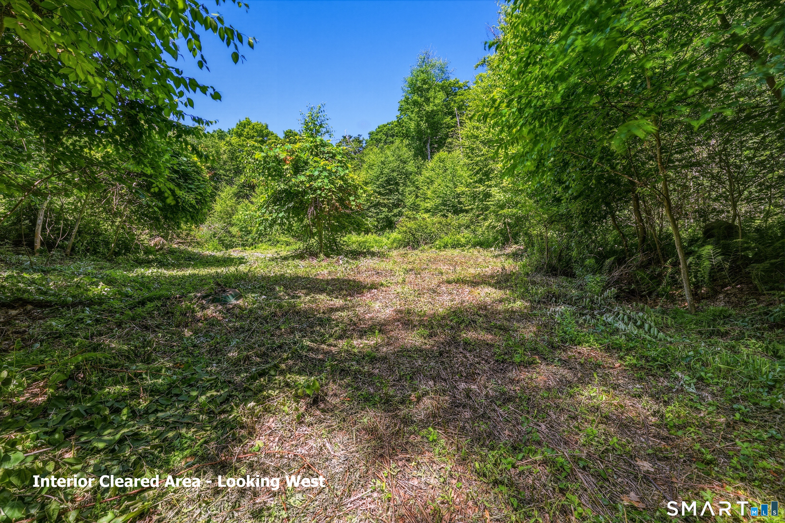 Ashley Road Winchester CT 06098
