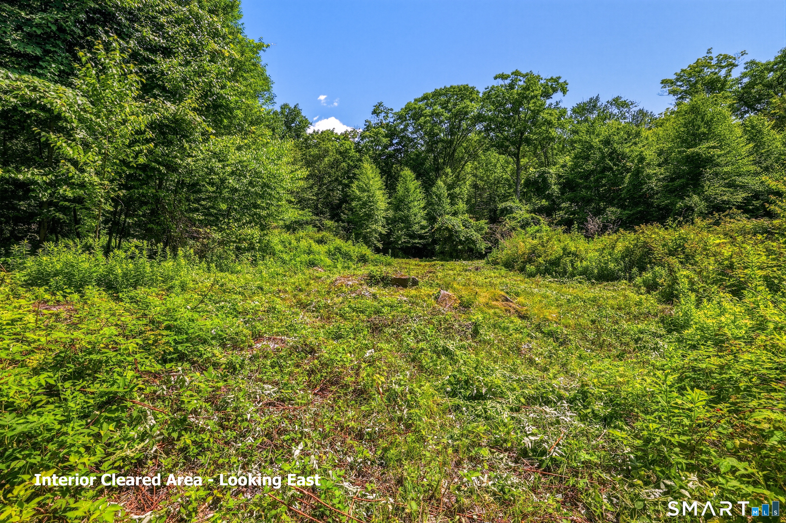 Ashley Road Winchester CT 06098