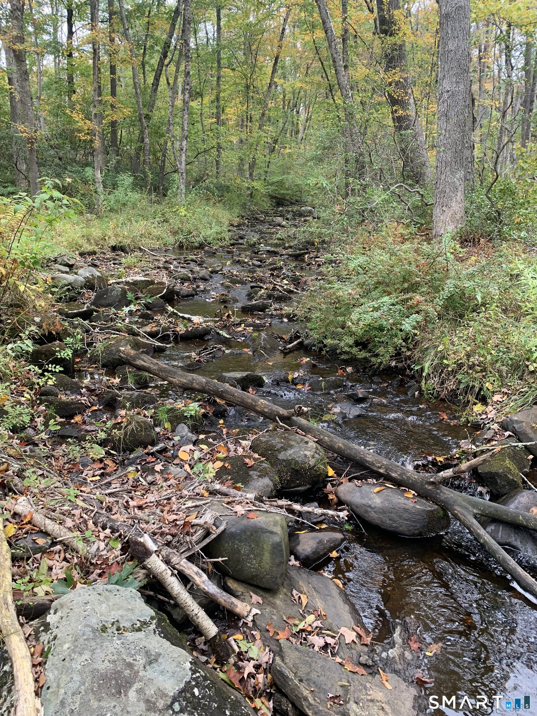 Potter School Road Willington CT 06279