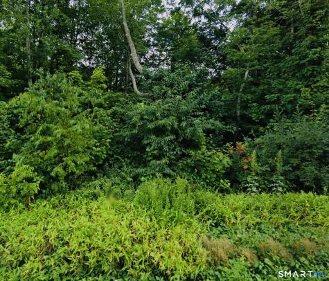 Lot 6 & 6A Mashamoquet Road Pomfret CT 06259