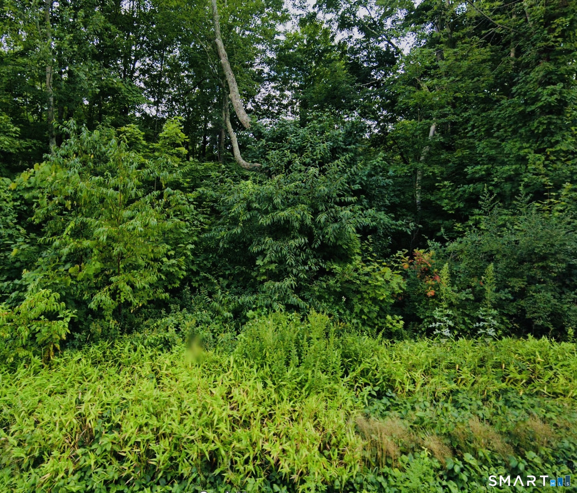 Lot 6 & 6A Mashamoquet Road Pomfret CT 06259