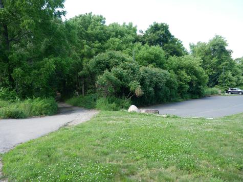 38 Elm Street Windham CT 06226