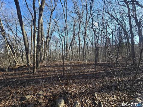 270 Old Colchester Road Salem CT 06420