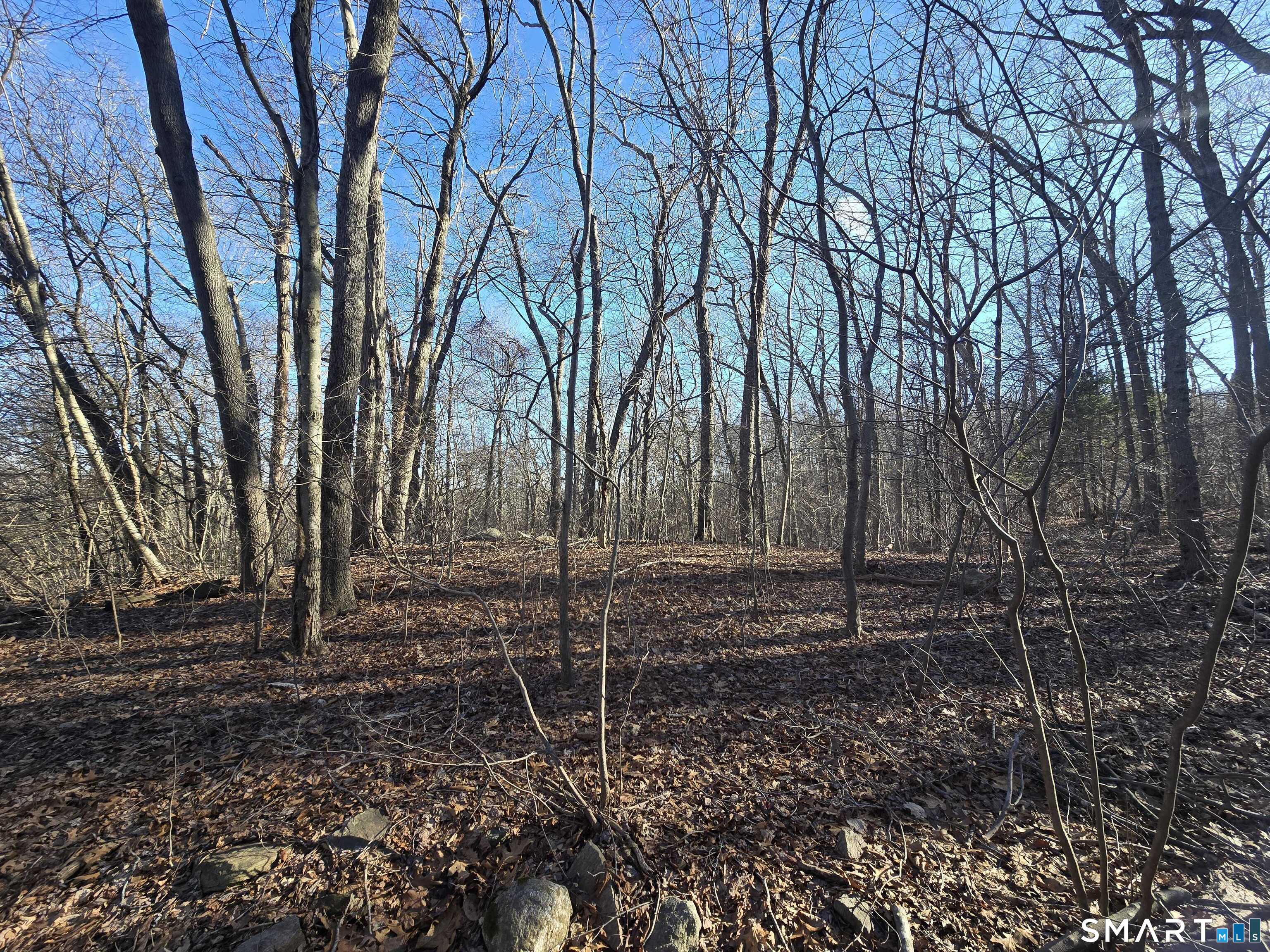 270 Old Colchester Road Salem CT 06420