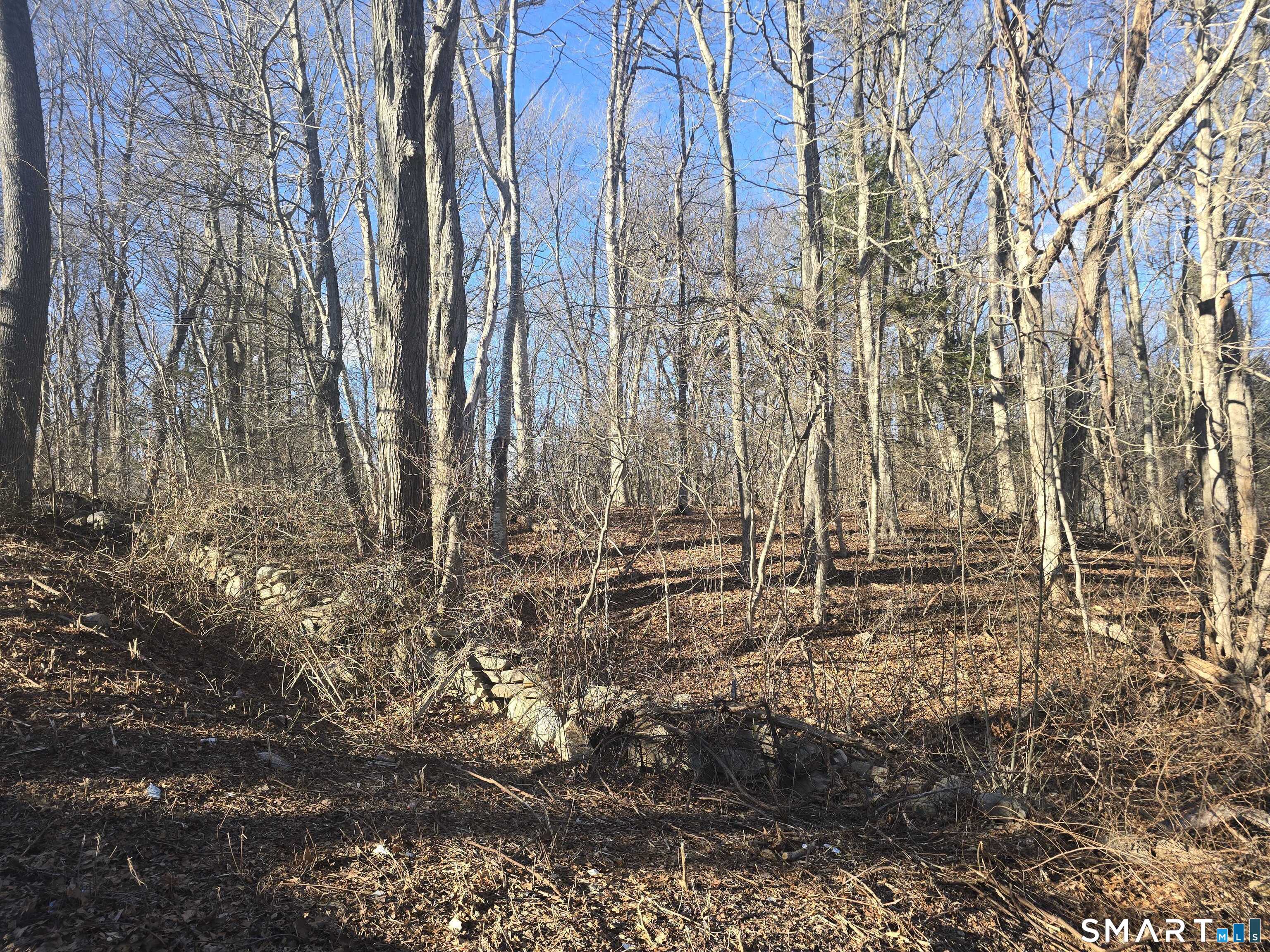 270 Old Colchester Road Salem CT 06420