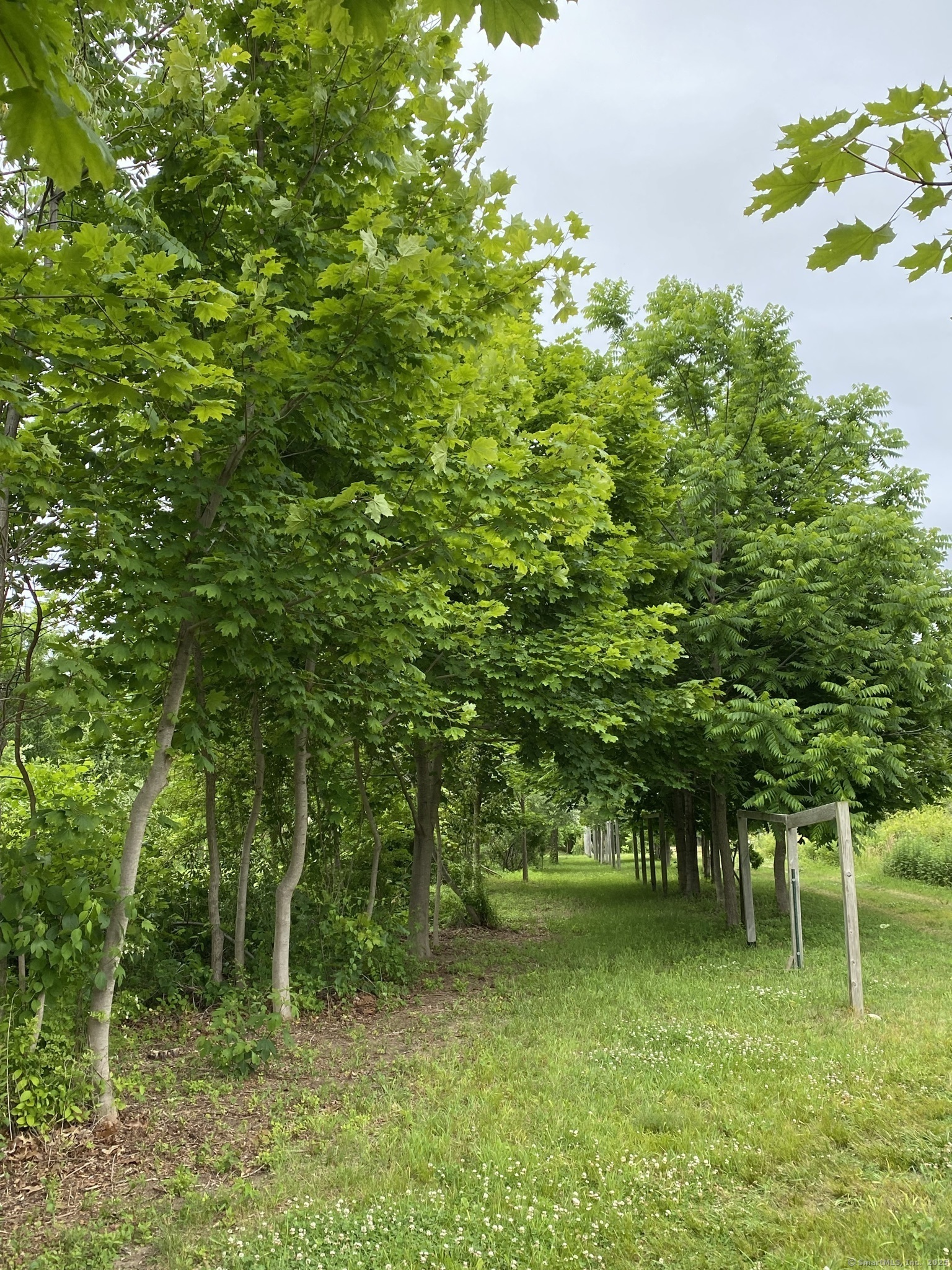 60 Ingham Hill Road Old Saybrook CT 06475