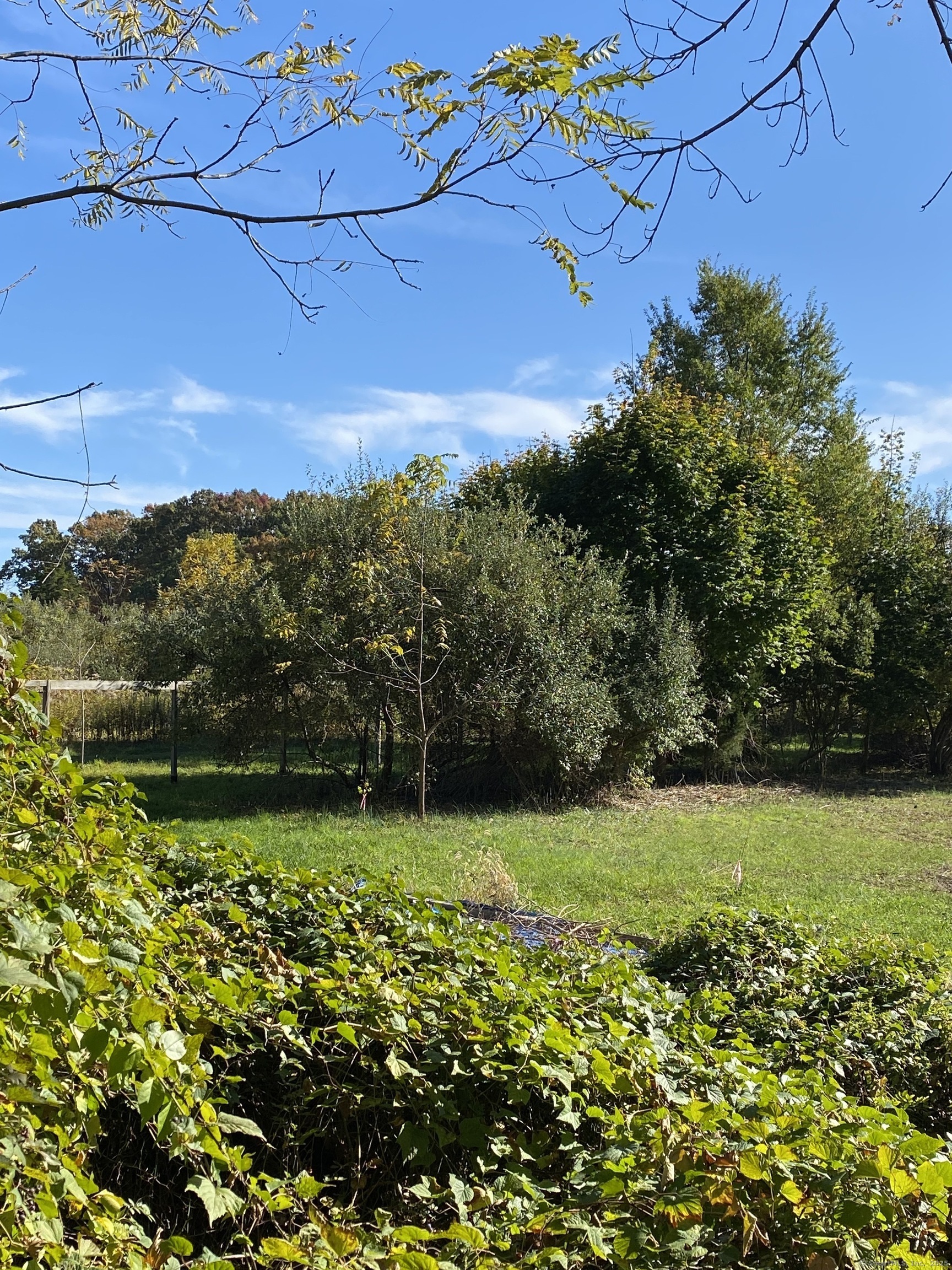 60 Ingham Hill Road Old Saybrook CT 06475