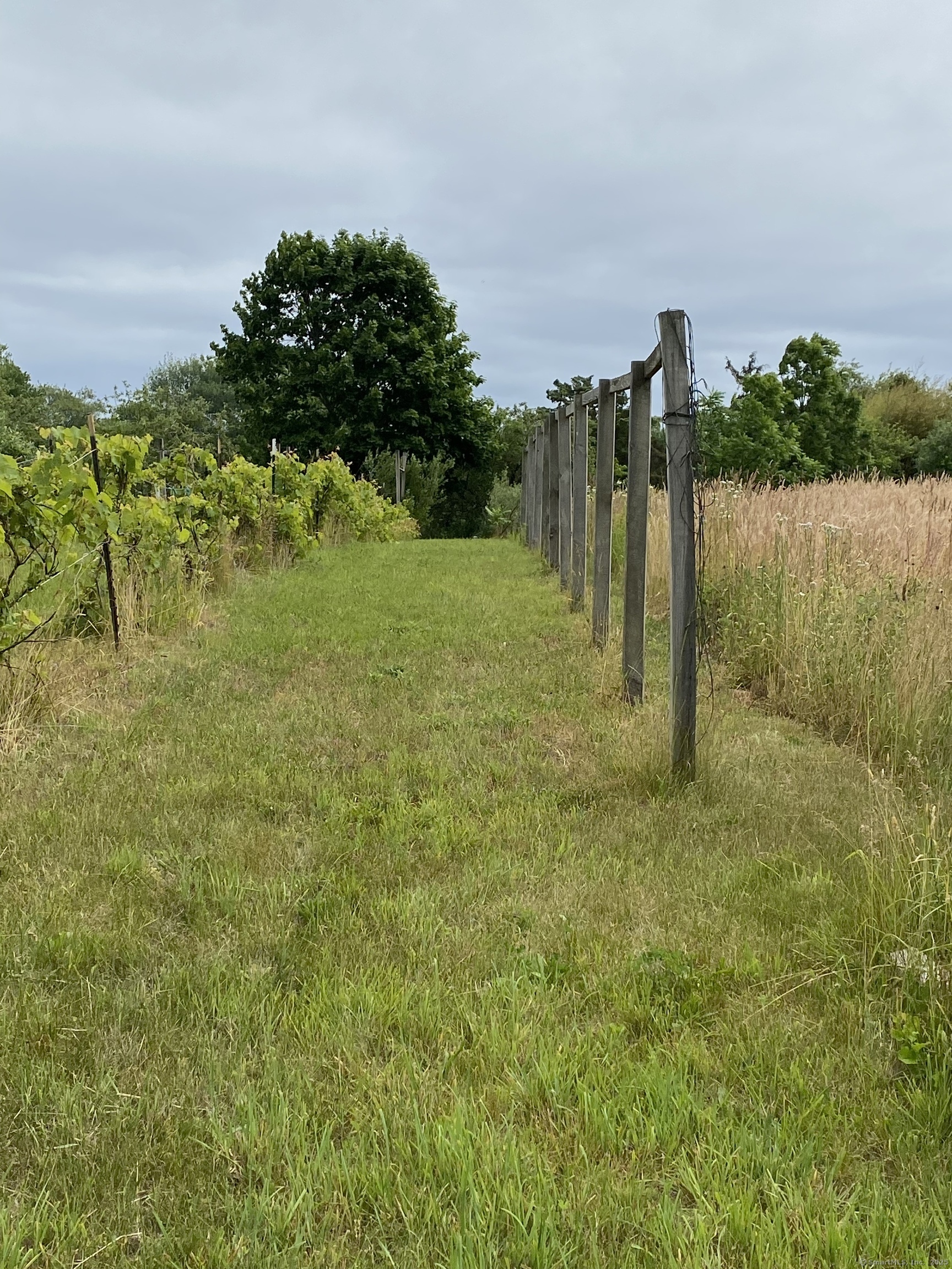 60 Ingham Hill Road Old Saybrook CT 06475