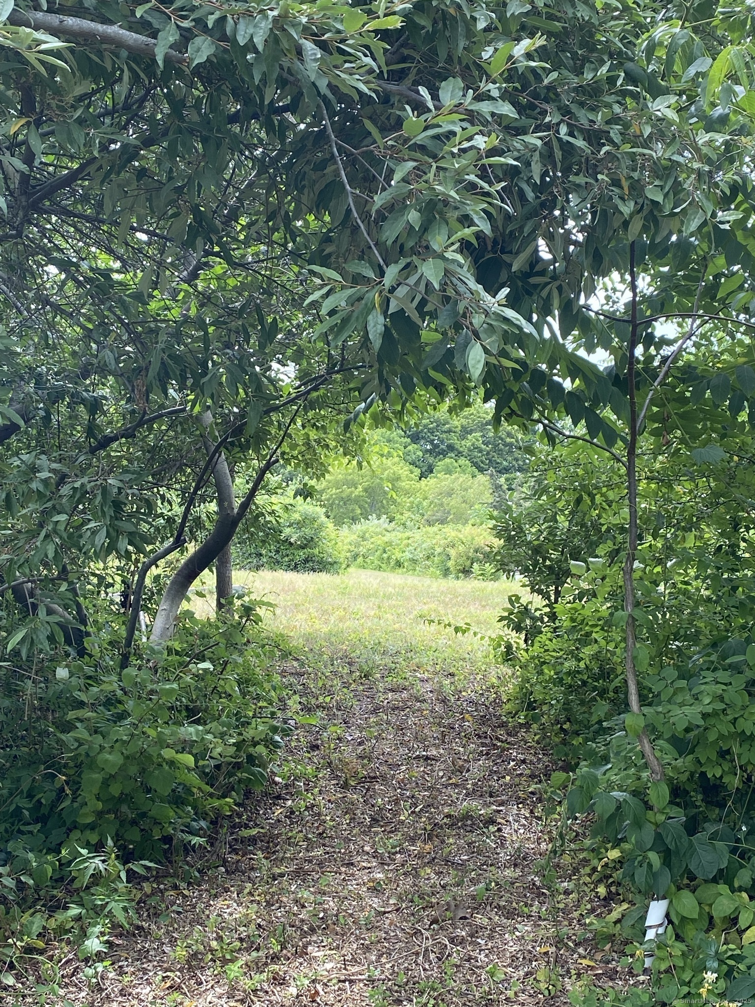 60 Ingham Hill Road Old Saybrook CT 06475