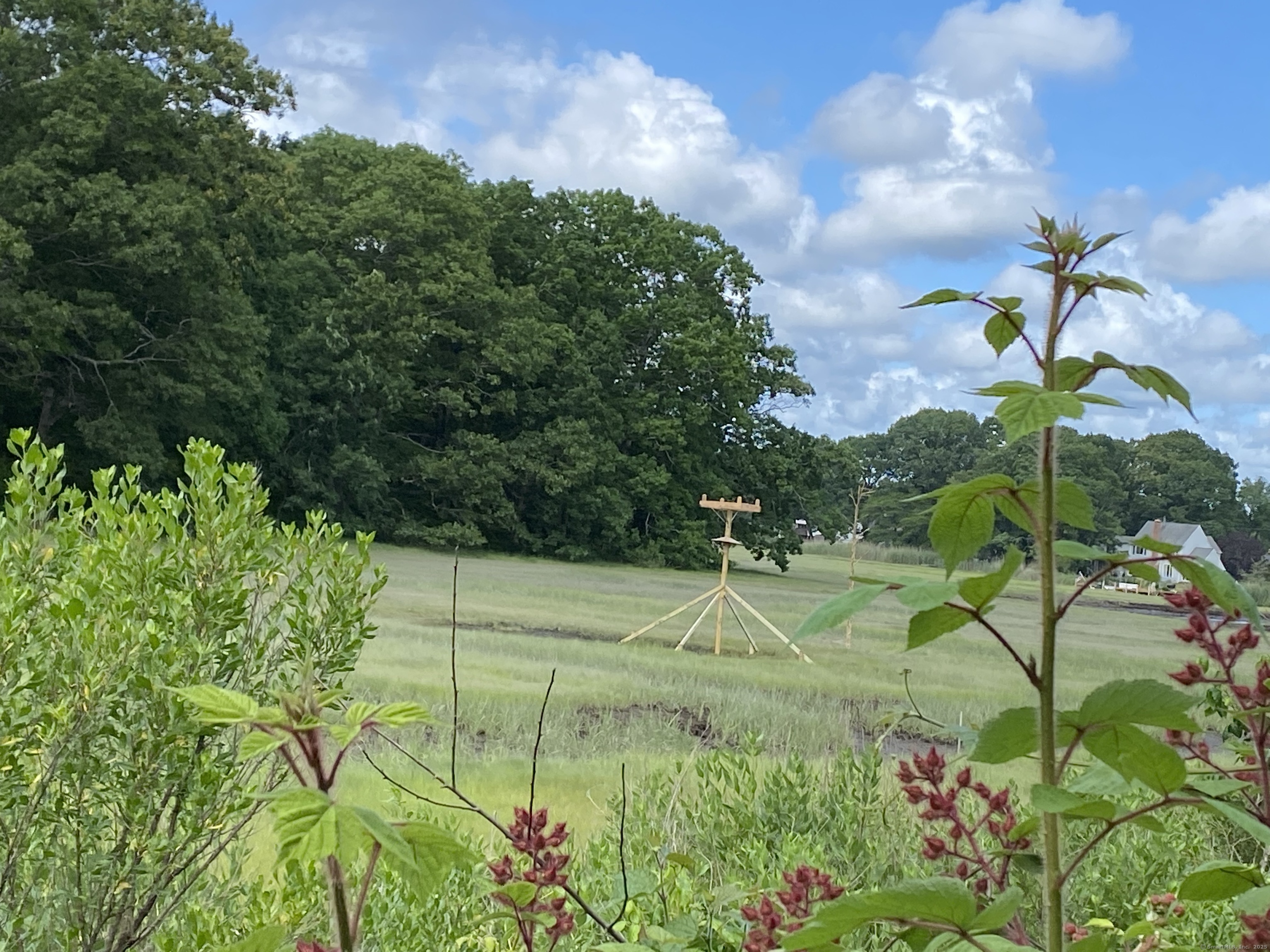 60 Ingham Hill Road Old Saybrook CT 06475