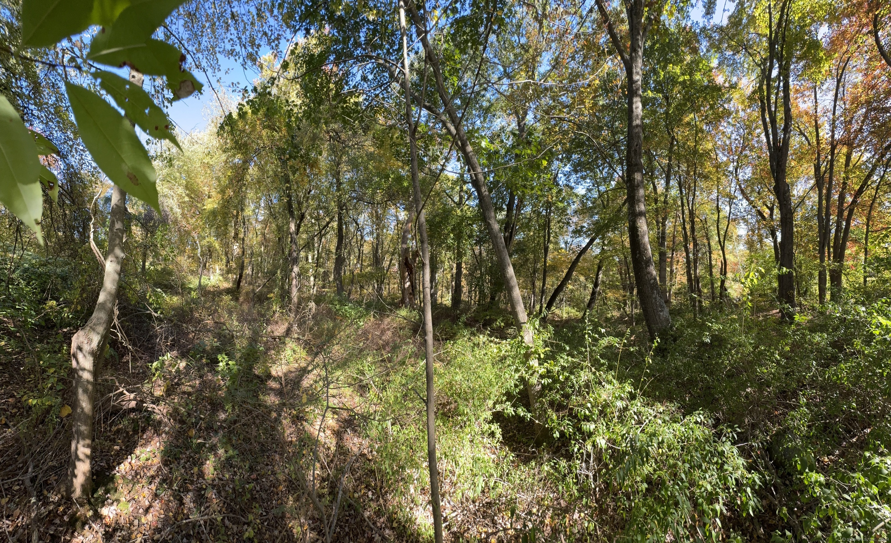 Old Colonial Road Watertown CT 06795