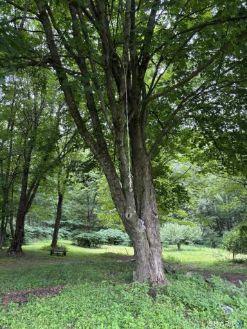 37 Verville Road Avon CT 06001