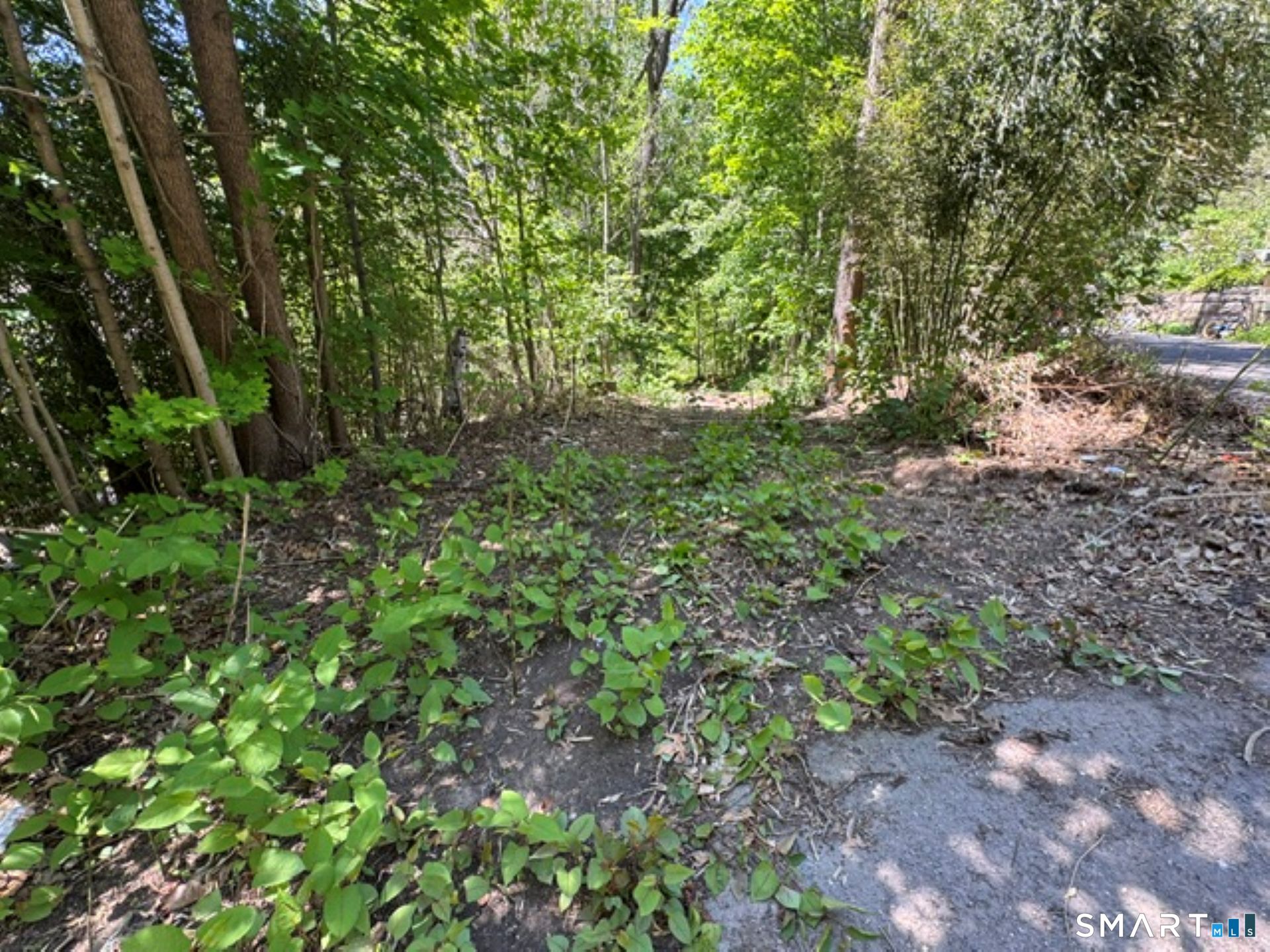 Wooster Street Naugatuck CT 06770