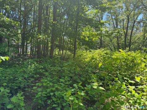 Wooster Street Naugatuck CT 06770