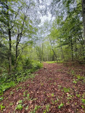 18 Ledge Hill Road Sterling CT 06377