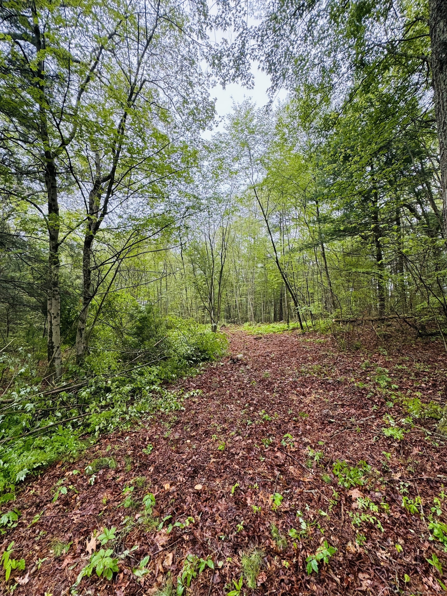 18 Ledge Hill Road Sterling CT 06377