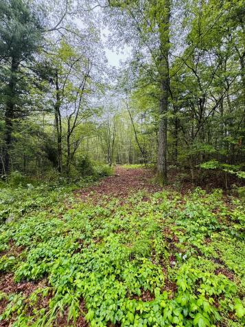 18 Ledge Hill Road Sterling CT 06377