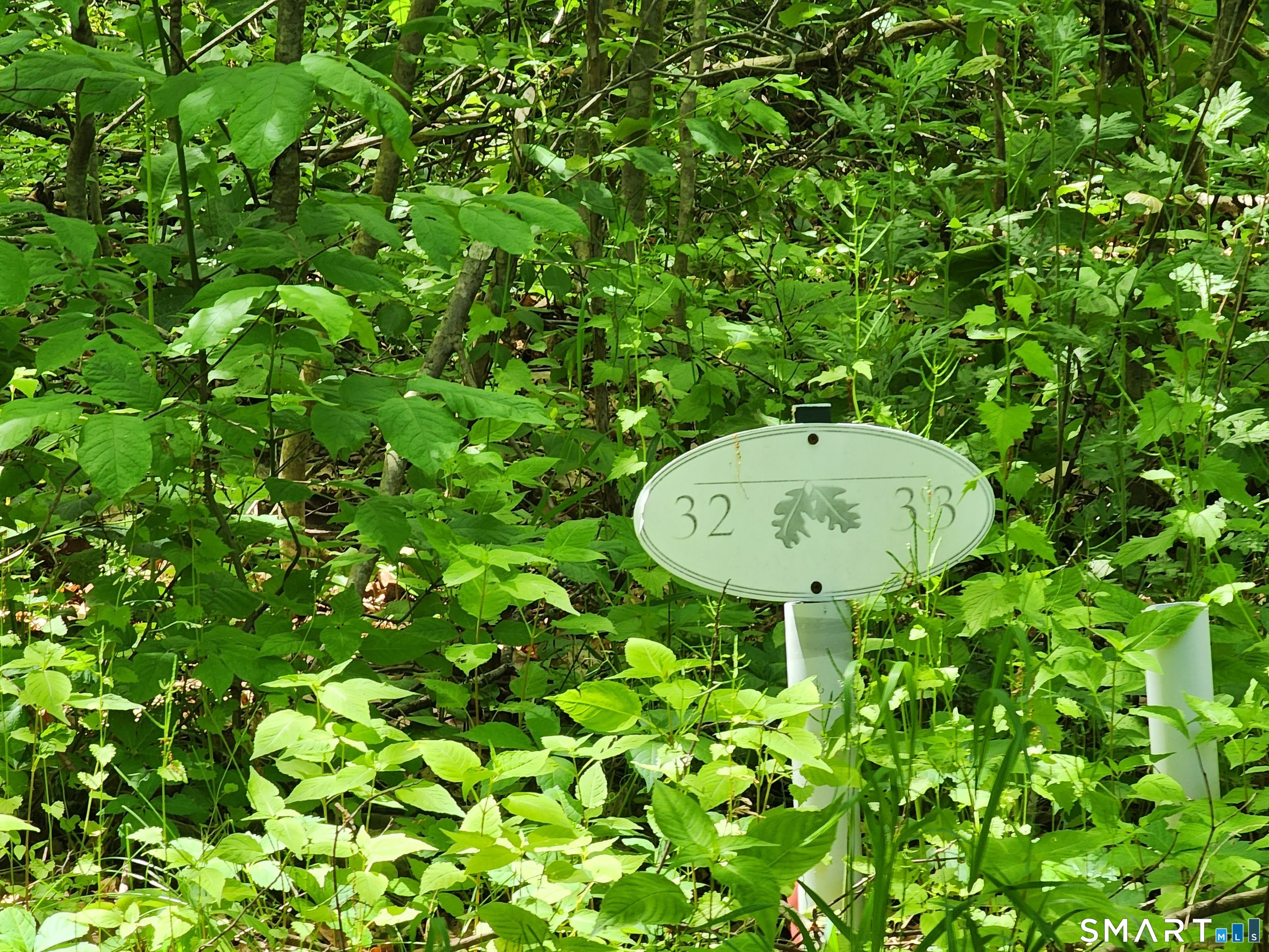 11 Old Paddock Lane Kent CT 06757